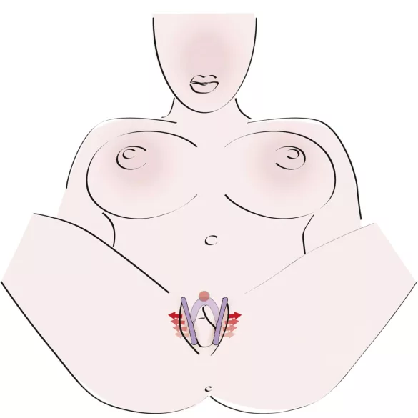 You2Toys - vagīnas dilatators Intimate Spreader