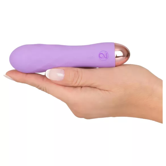 Cuties Mini - ūdensizturīgs vibrators ar režģi uzlādējams violets