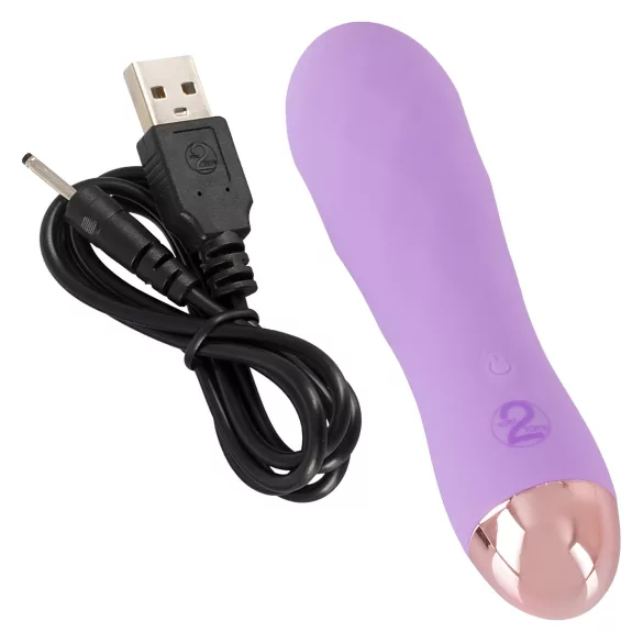 Cuties Mini - ūdensizturīgs vibrators ar režģi uzlādējams violets