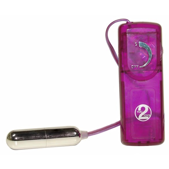 You2Toys - vibrators komplekts 12 gab. erotiski pārsteigumi