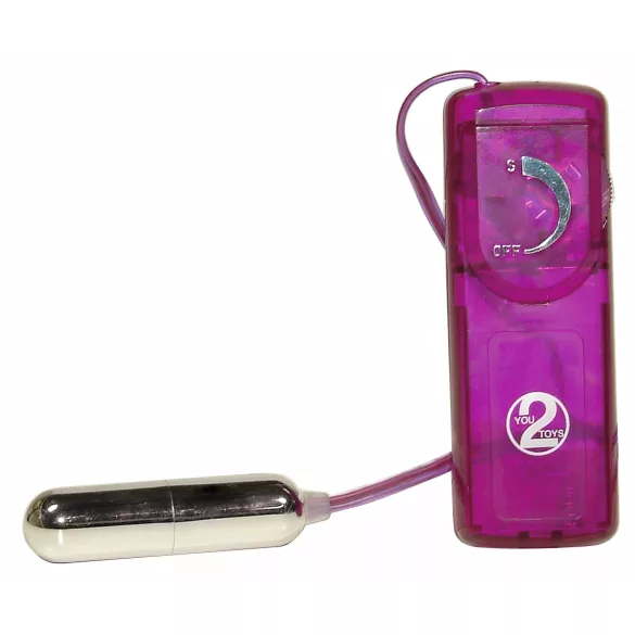 You2Toys - vibrators komplekts 12 gab. erotiski pārsteigumi