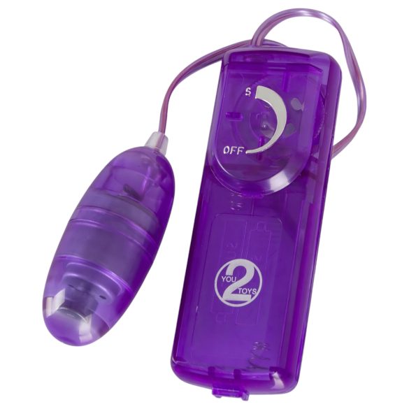 You2Toys - vibrators komplekts 9 gabali violetais