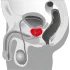 You2Toys - prostatas masieris ar rotējošu vibrāciju melns