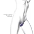 Love to Love Wonderlover - klitora stimulators G-punkta vibrator (tumši violets)