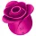 Satisfyer Pro 2 Modern Blossom - klitora stimulators ar gaisa viļņiem rozā