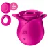 Satisfyer Pro 2 Modern Blossom - klitora stimulators ar gaisa viļņiem rozā