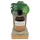 Coconutoil - bioloģiskais iedeguma eļļa 80ml