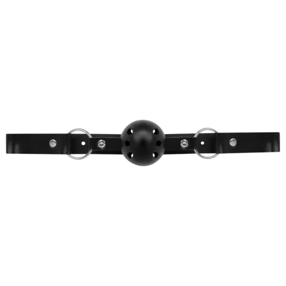 Secret Pleasure Chest - BDSM komplekts pieredzējušiem 14 daļas melns