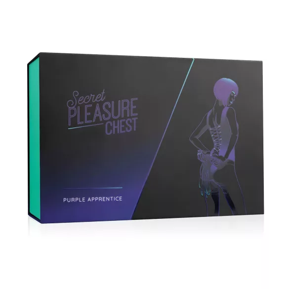 Secret Pleasure Chest - BDSM komplekts pieredzējušiem, 14 daļas