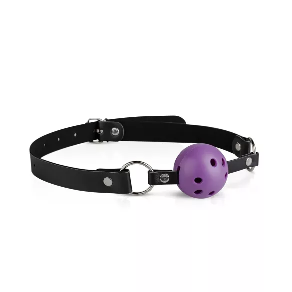 Secret Pleasure Chest - BDSM komplekts pieredzējušiem, 14 daļas
