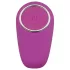 Easytoys pāris vibrators ar tālvadību, ūdensizturīgs, rozā